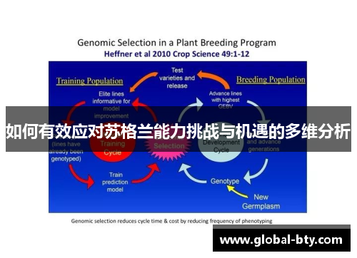 如何有效应对苏格兰能力挑战与机遇的多维分析